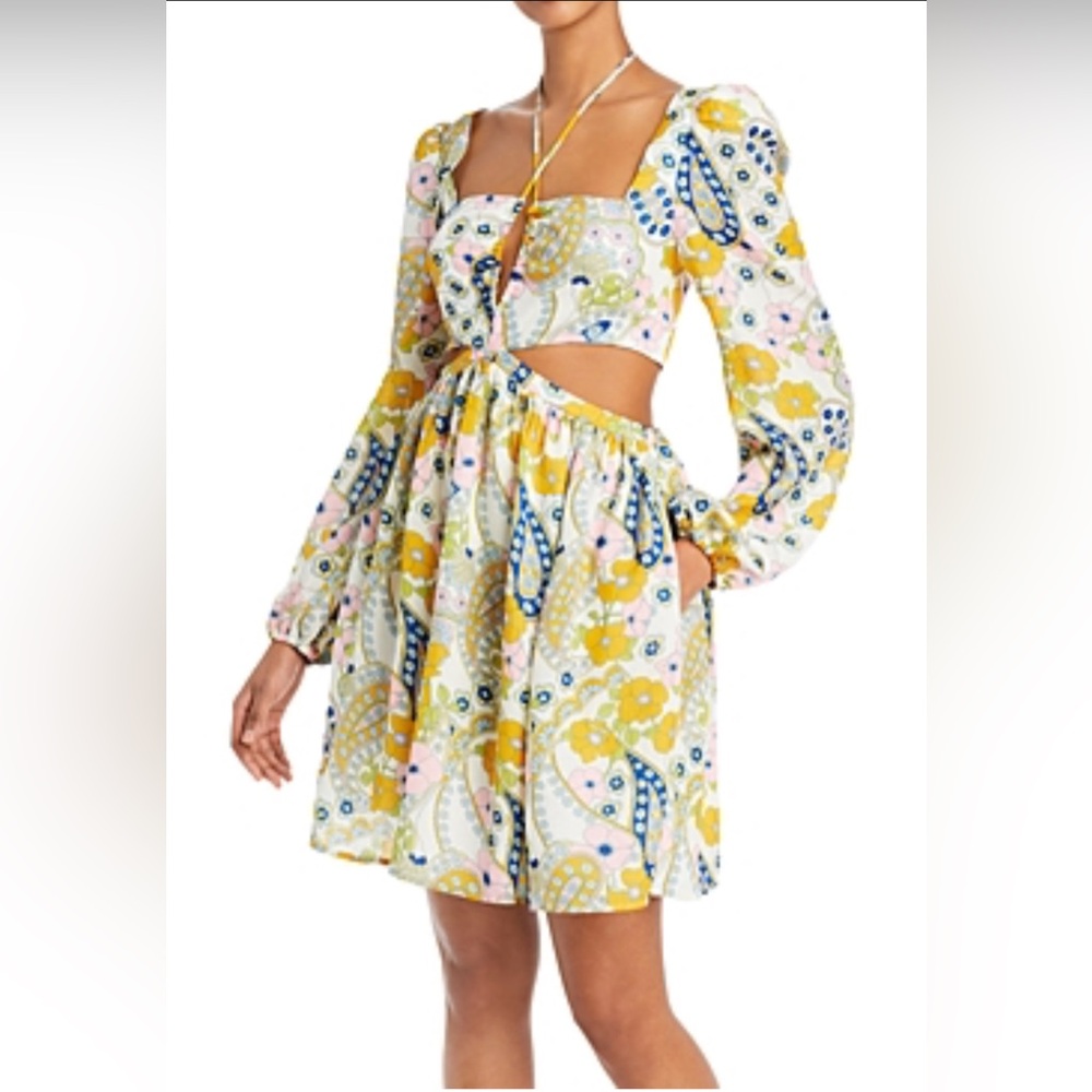 WAYF Hart Cut Out Babydoll Mini Dress